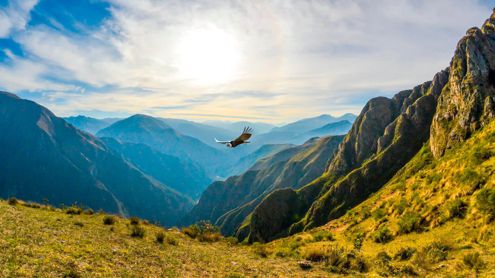 portada-vuelo-de-los-condores-chonta