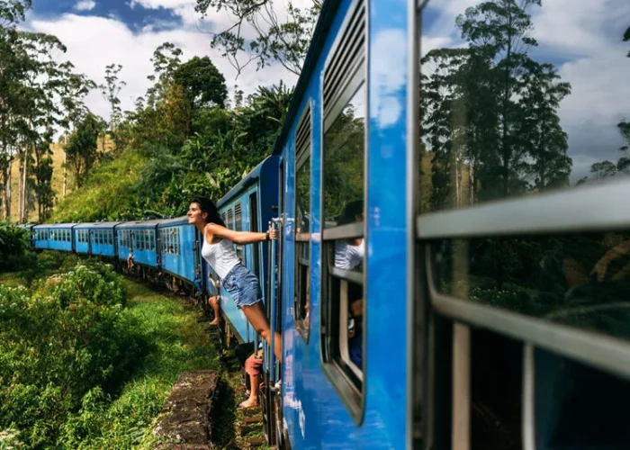 the-girl-travels-by-train-to-beautiful-places-bea-2022-01-31-14-27-14-utc-800x534